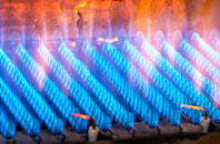 Cwmorgan gas fired boilers